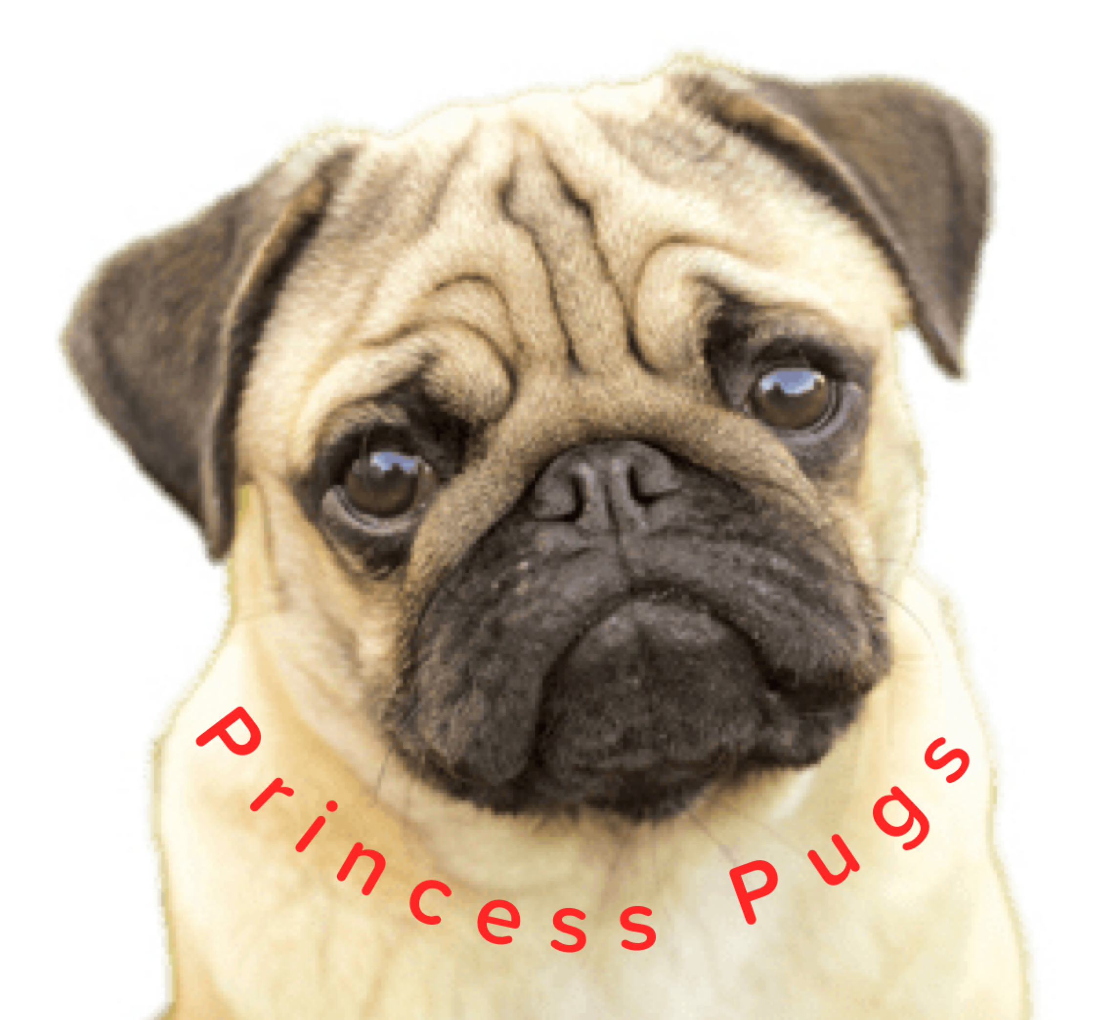 Princess Pugs